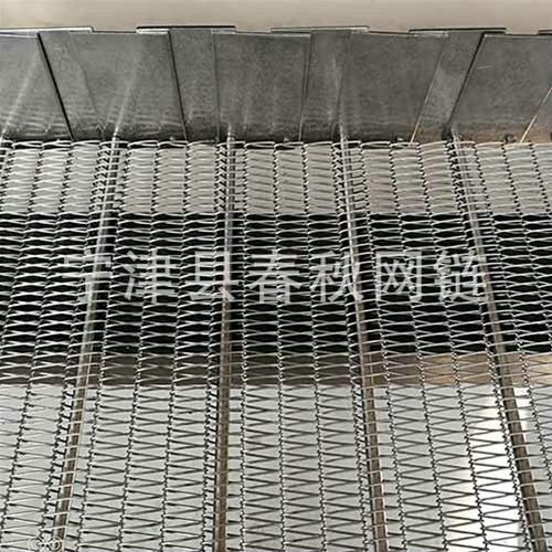 清洗機不銹鋼網鏈